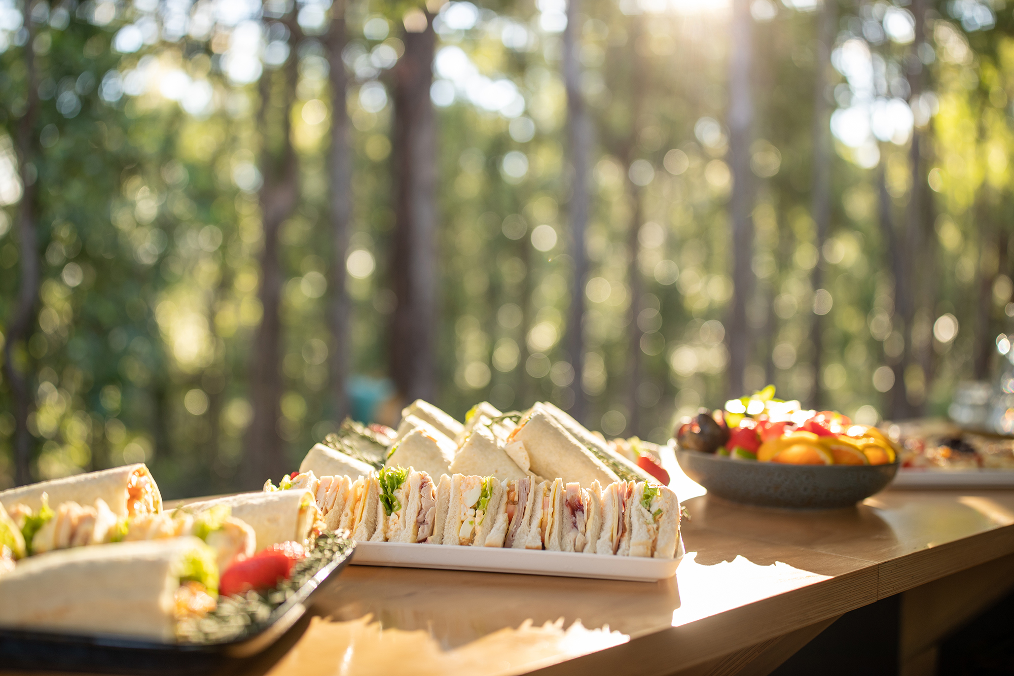 Venue - theatrette - catering